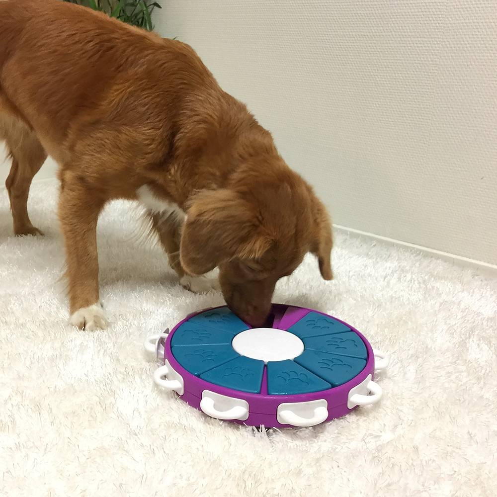 Zdjęcie Outward Hound Twister poziom 3 Nina Ottosson zabawka edukacyjna dla psa śr. 26 cm