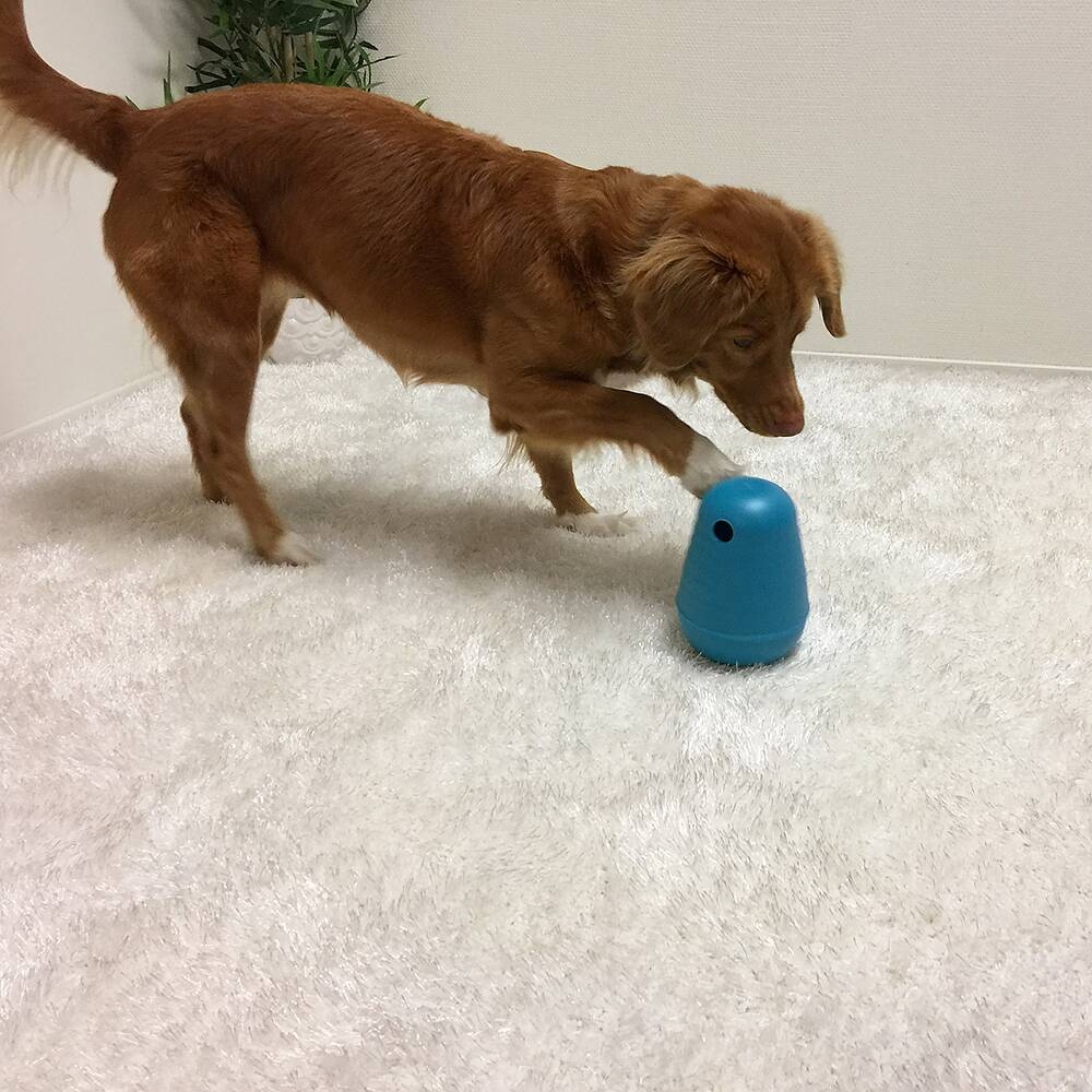 Zdjęcie Outward Hound Dog Piramida poziom 2 Nina Ottosson zabawka na przysmaki dla psa rozm. medium