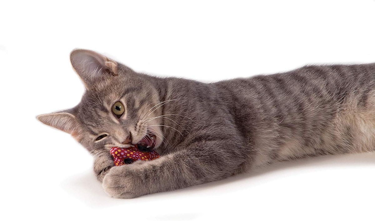 Zdjęcie Petstages Chew: Catnip Plaque Away Pretzel precel czyszczący zęby  