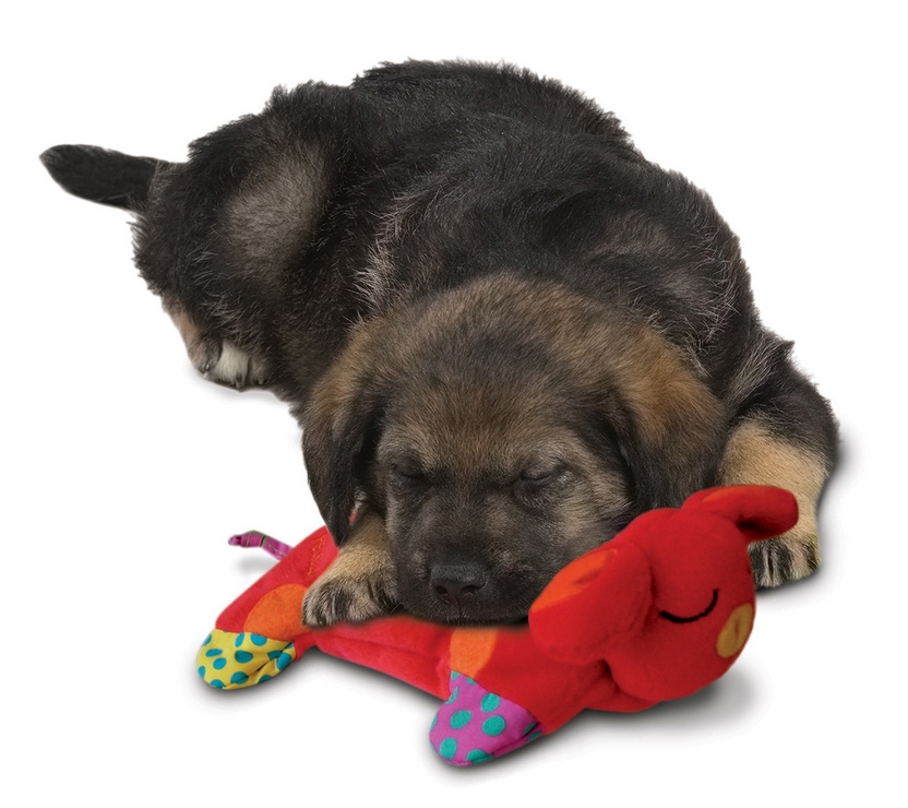 Zdjęcie Petstages Soothing: Puppy Cuddle Pal podgrzewana przytulanka dla pieska  20 x 9 cm
