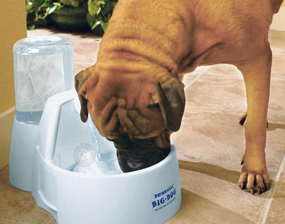 Zdjęcie Drinkwell Big Dog duża fontanna  dla dużych i średnich psów 8.5l
