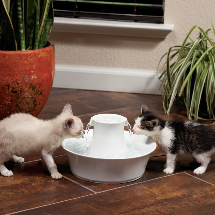 Zdjęcie Drinkwell Fontanna Avalon ceramiczna  dla kotów i psów 2l