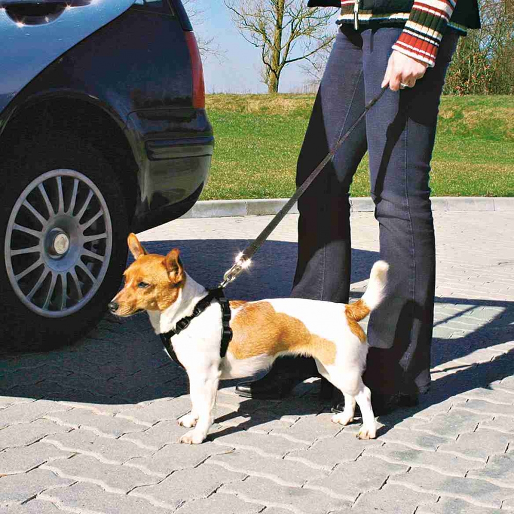 Zdjęcie Trixie Szelki samochodowe dla psa  rozmiar S (30-60 cm) 