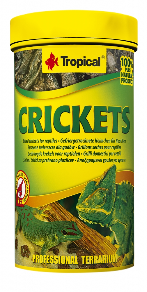 Tropical Crickets suszone świerszcze dla gadów w puszce 100ml