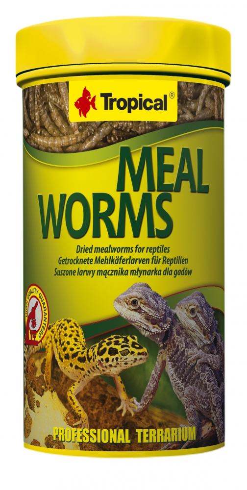 Zdjęcie Tropical Meal Worms  suszone larwy mącznika dla gadów 100ml