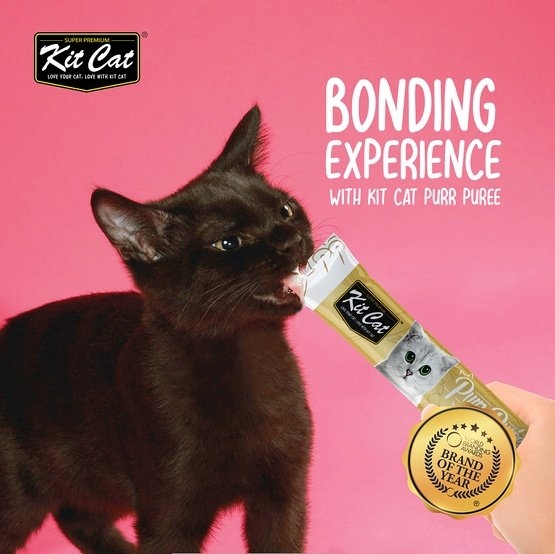 Zdjęcie Kit Cat Purr Puree przysmaki dla kotów  Chicken & Fiber Hairball 4x15g