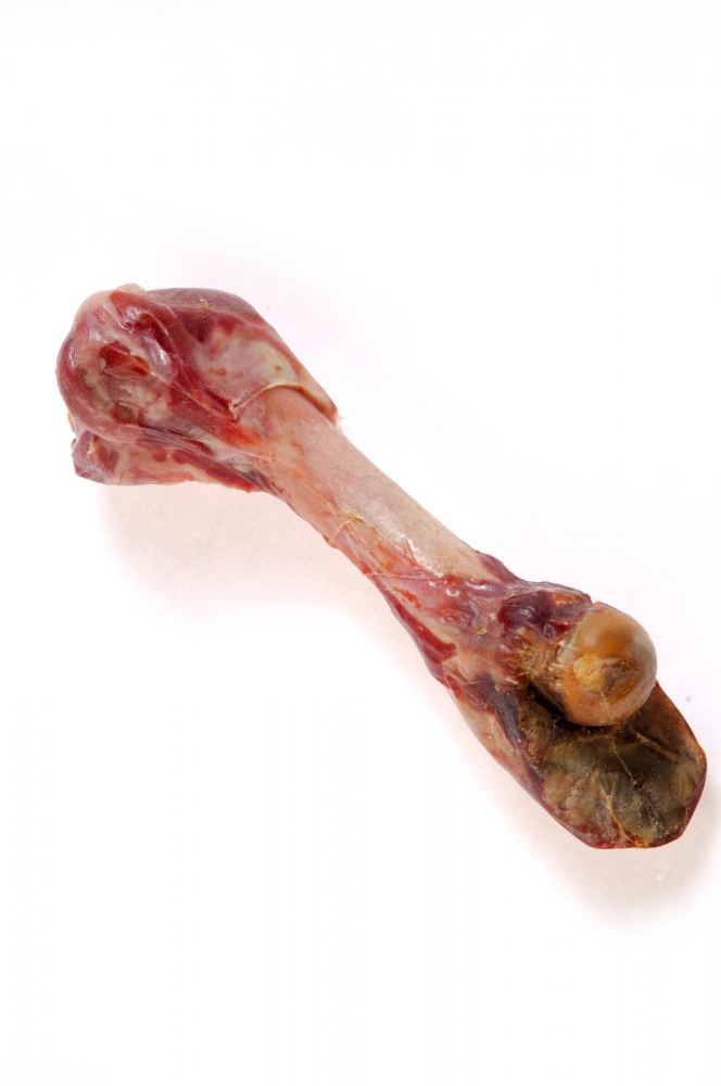 Zdjęcie Zolux Kość z szynki parmeńskiej foliowana duża  ok. 27 cm 370g