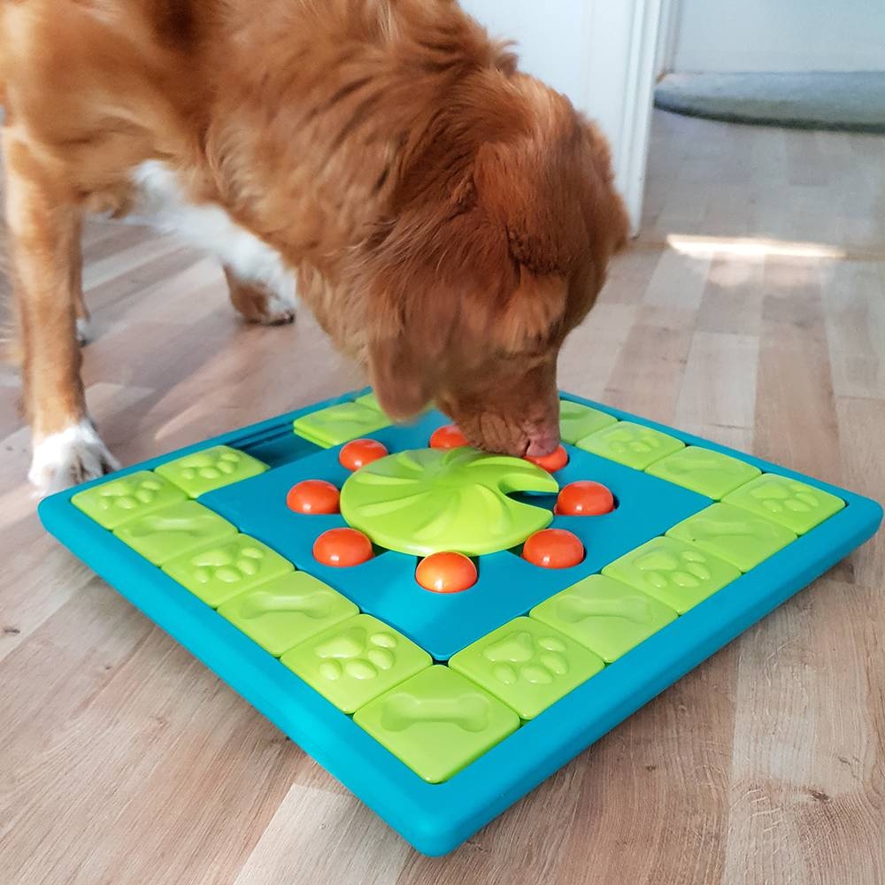 Zdjęcie Outward Hound Multipuzzle poziom 4 Nina Ottosson zabawka edukacyjna dla psa 38 x 38 cm