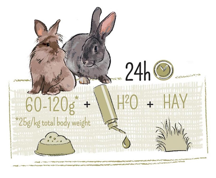 Zdjęcie Witte Molen Puur Rabbit Sensitive  musli dla wrażliwych królików 3kg