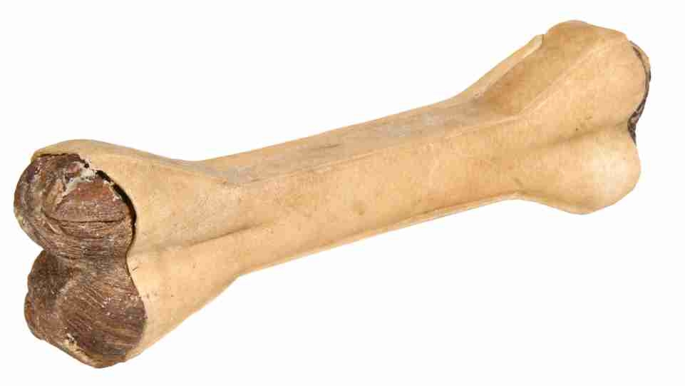 Zdjęcie Trixie Kość prasowana nadziewana  15 cm, ze żwaczem 1 szt.