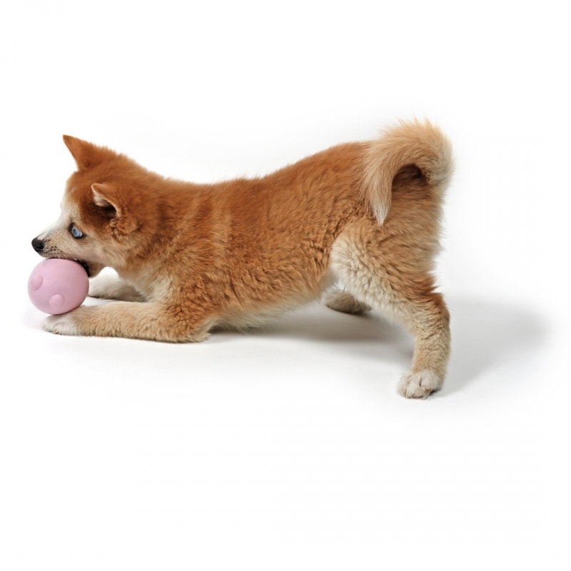 Zdjęcie Ebi Petit Balu zabawka kiwaczek dla psa  różowa 8 x 6 x 6 cm