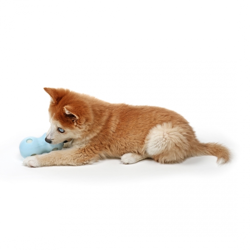 Zdjęcie Ebi Petit Coco zabawka kojąca dla psa  różowa 12 x 6 x 6 cm