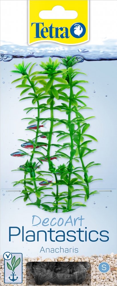 Zdjęcie Tetra Anacharis roślina do akwarium   15 cm
