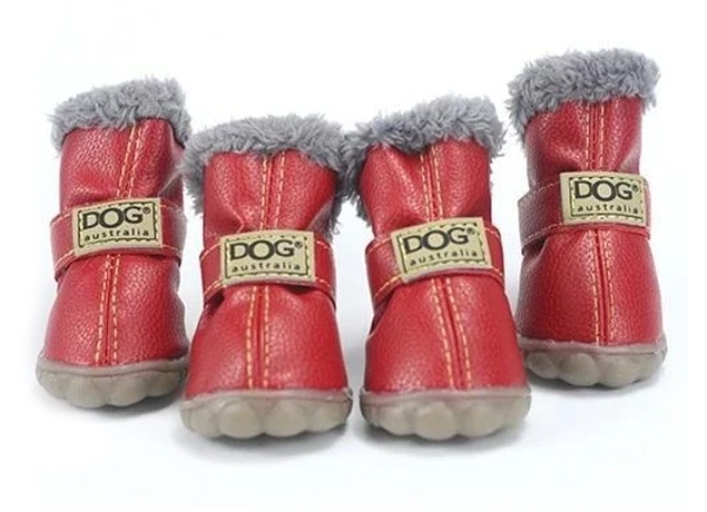 Zdjęcie Zolux Buty zimowe dla psa  czerwone T4: 5,5 x 4,5 cm