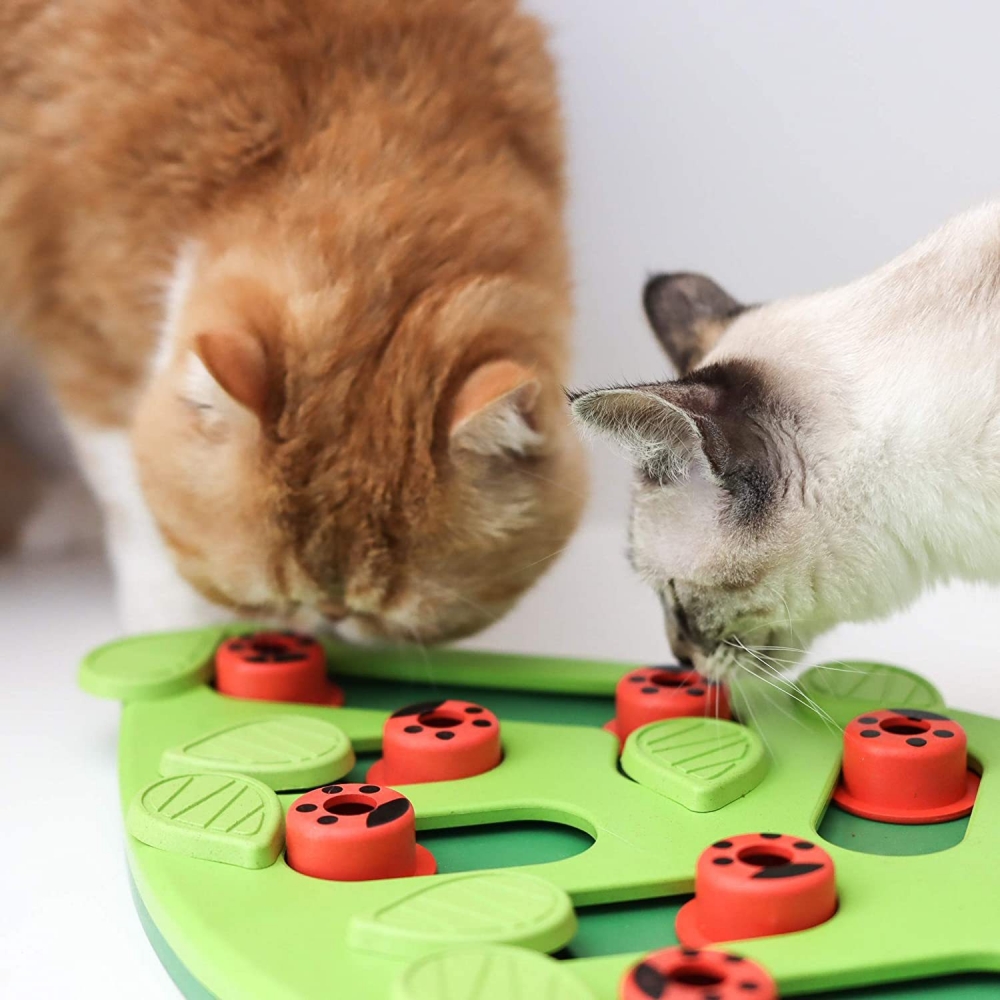 Zdjęcie Outward Hound Cat Buggin' Out Puzzle & Play Nina Ottosson zabawka edukacyjna dla kotów 35 x 4,5 x 29 cm