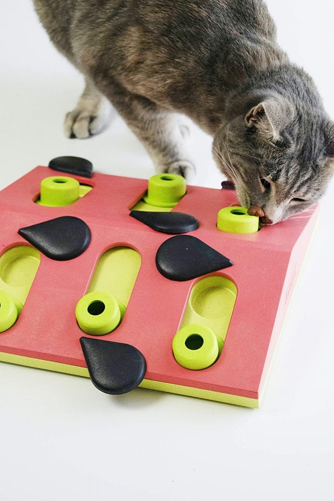 Zdjęcie Outward Hound Cat Melon Madness Puzzle & Play Nina Ottosson zabawka edukacyjna dla kotów 26,6x7x26,5 cm