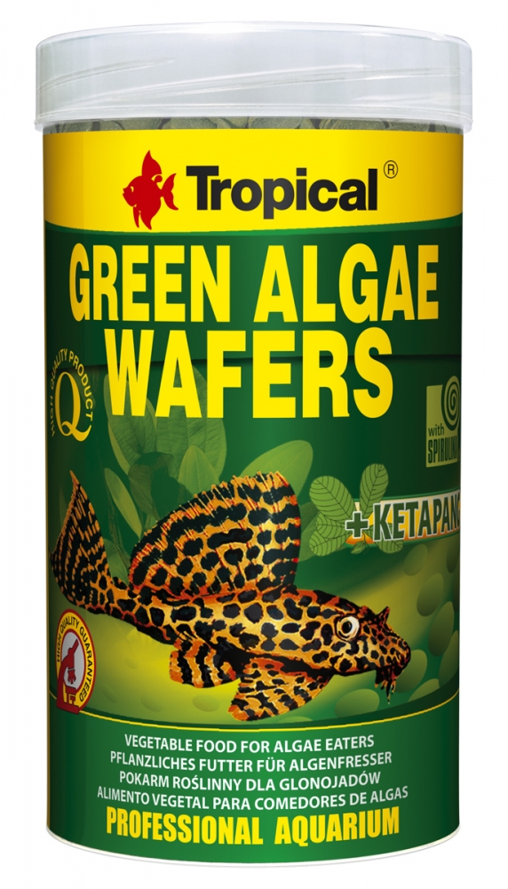 Zdjęcie Tropical Green Algae Wafers   250ml