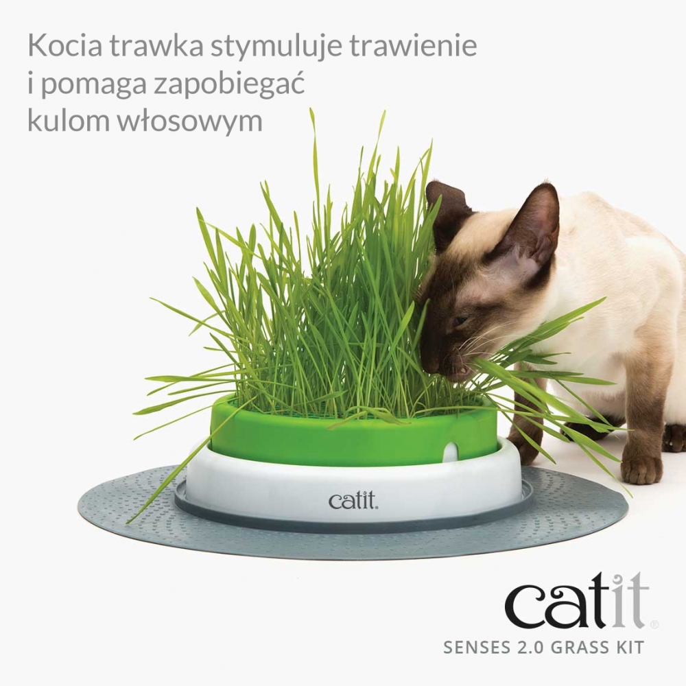 Zdjęcie catit Senses Grass Kit trawa dla kota   2 szt.