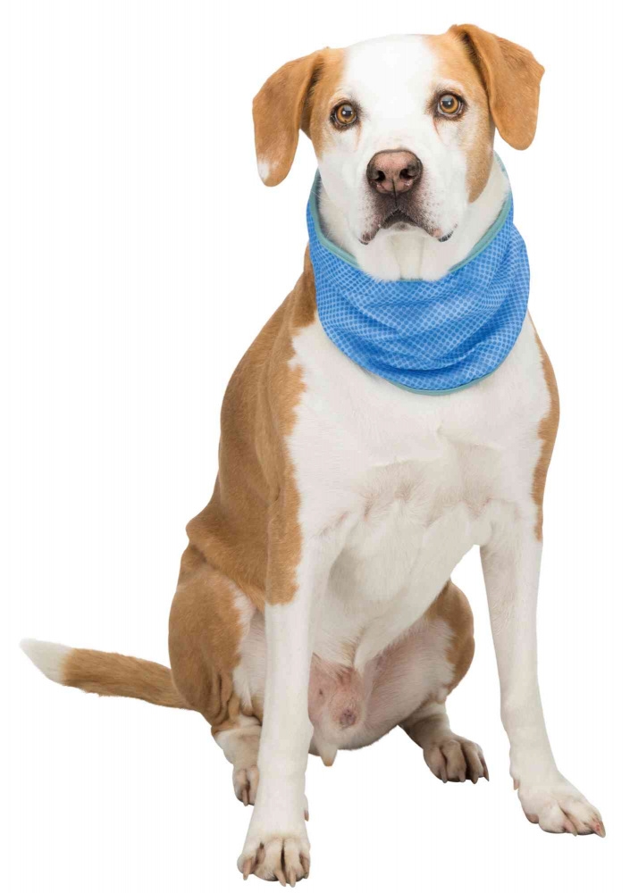 Zdjęcie Trixie Bandanka chłodząca dla psa XL   47-57 cm