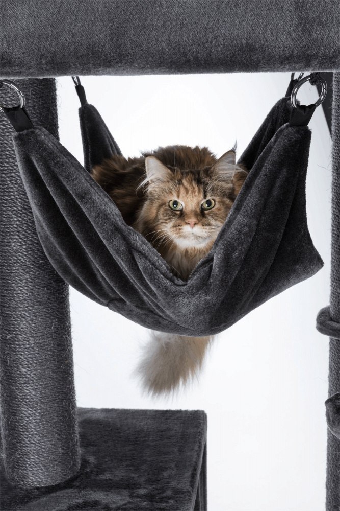 Zdjęcie Trixie Drapak Amadeus XXL dla dużych kotów  antracytowy wys. 163 cm