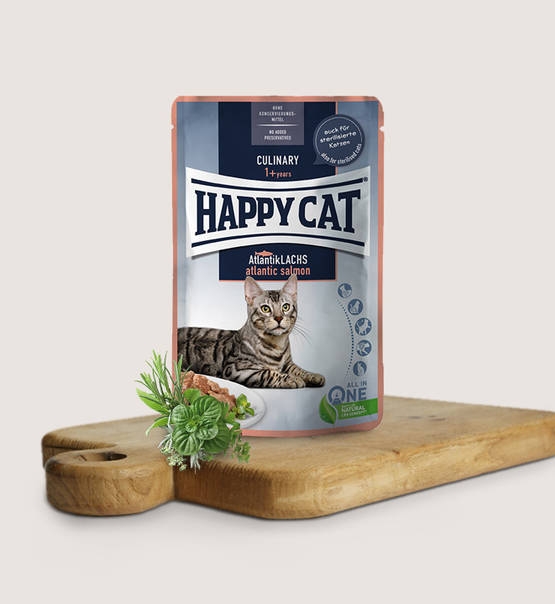 Zdjęcie Happy Cat Culinary Meat in Sauce Atlantic Salmon saszetka dla kota kawałki łososia w sosie 85g