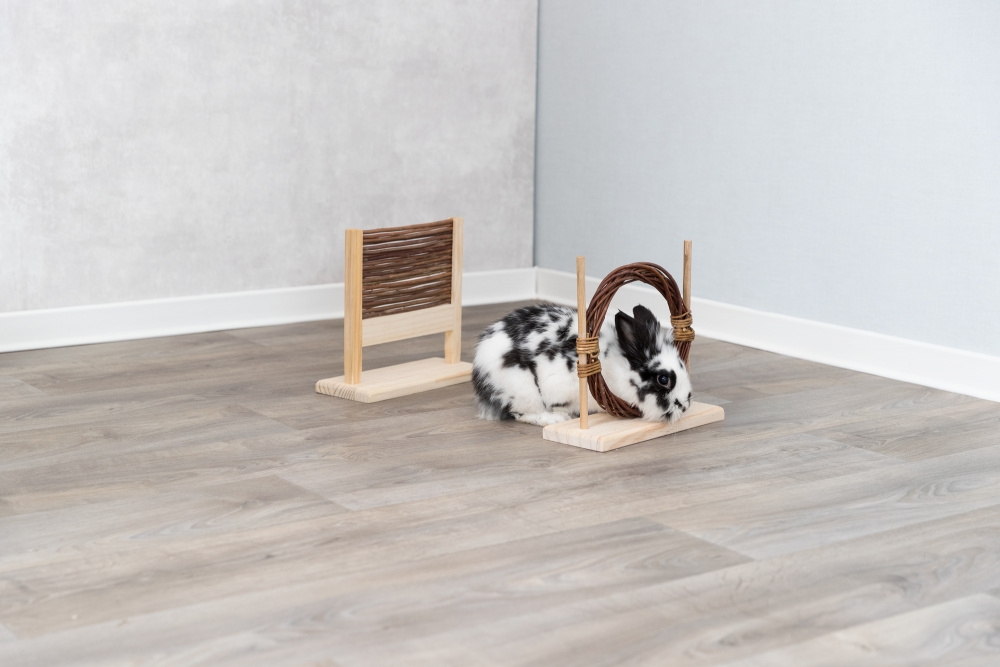 Zdjęcie Trixie Zestaw zręcznościowy dla królików i gryzoni  z naturalnego drewna 28 x 26 x 12 cm