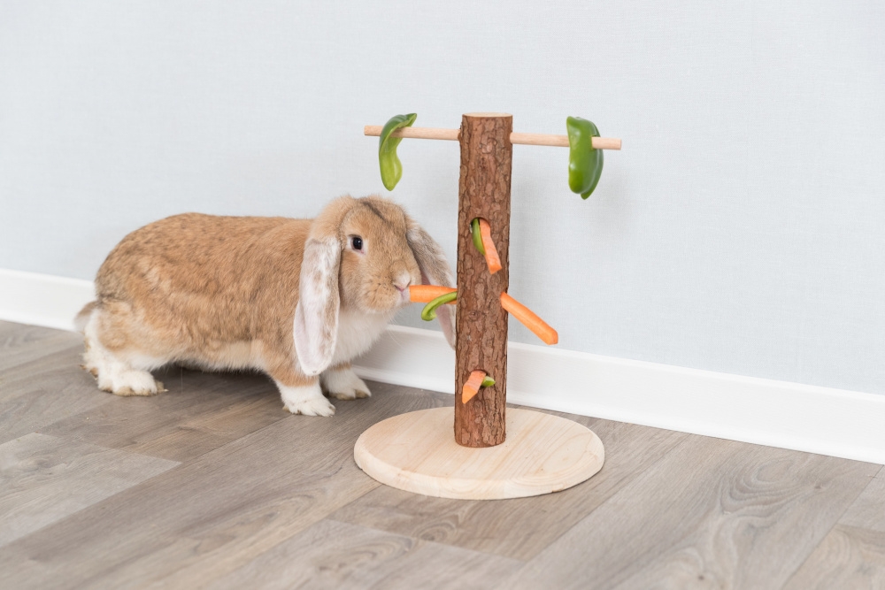 Zdjęcie Trixie Karmnik Natural Living Feeding Tree  dla królików, szynszyli i świnek morskich ø 25 × 36 cm