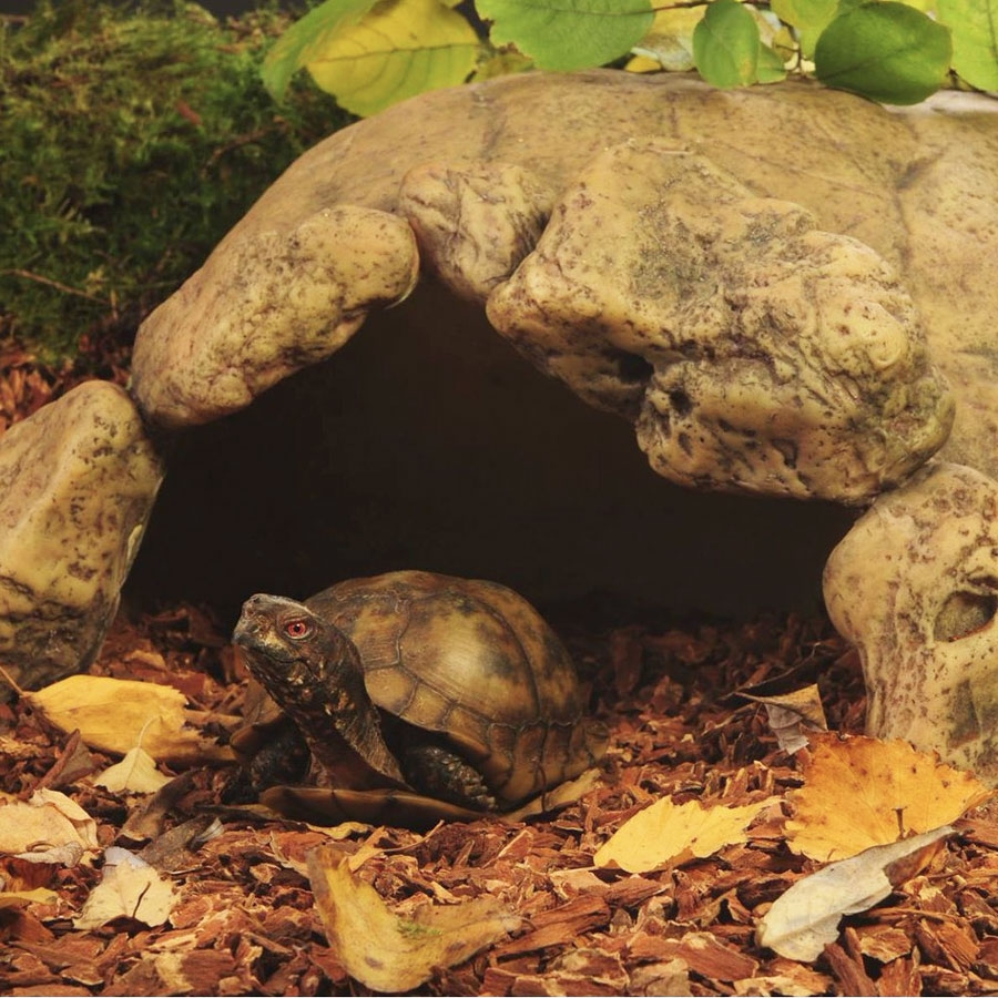 Zdjęcie Exo-Terra Tortoise Cave kryjówka dla żółwia   40 x 29 x 20 cm