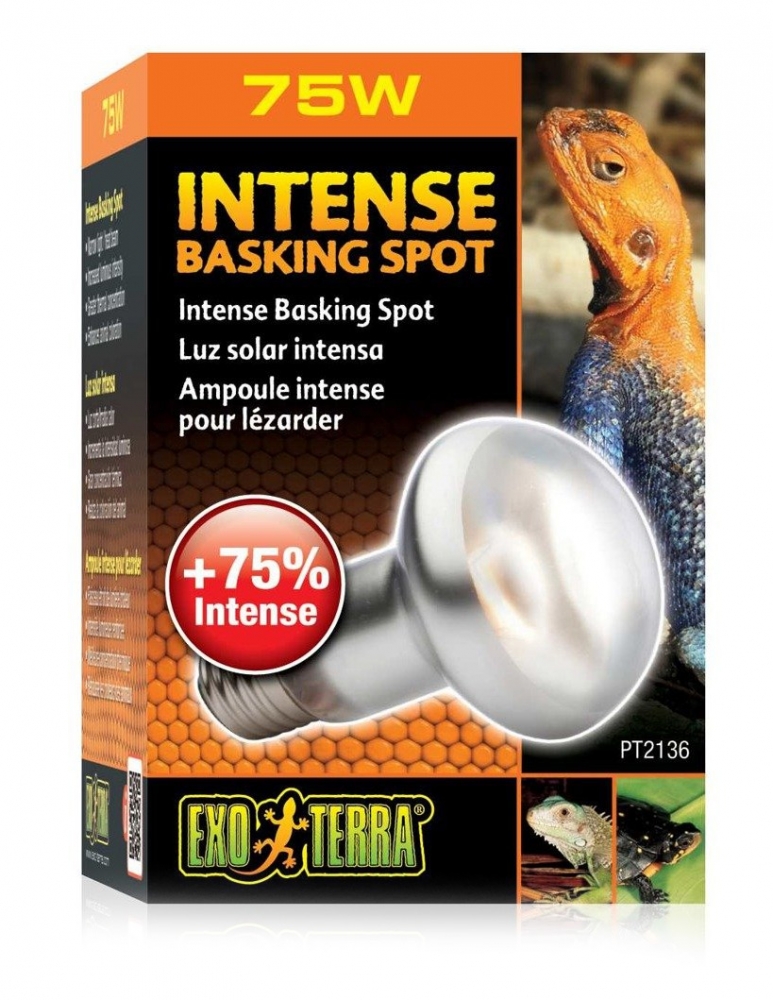 Zdjęcie Exo-Terra Intense Basking Spot żarówka grzewcza  75W 
