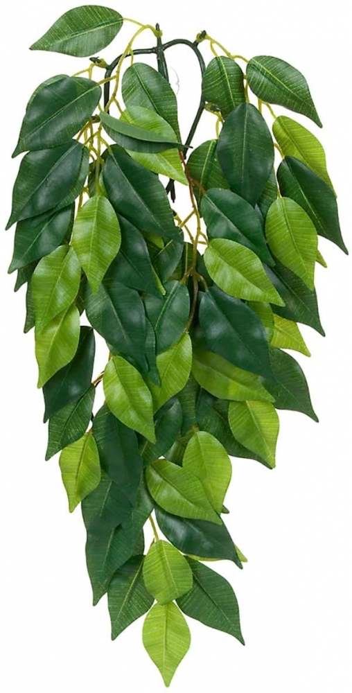 Zdjęcie Exo-Terra Roślina sztuczna Silk Ficus do terrariów tropikalnych rozm. M (50 cm) 