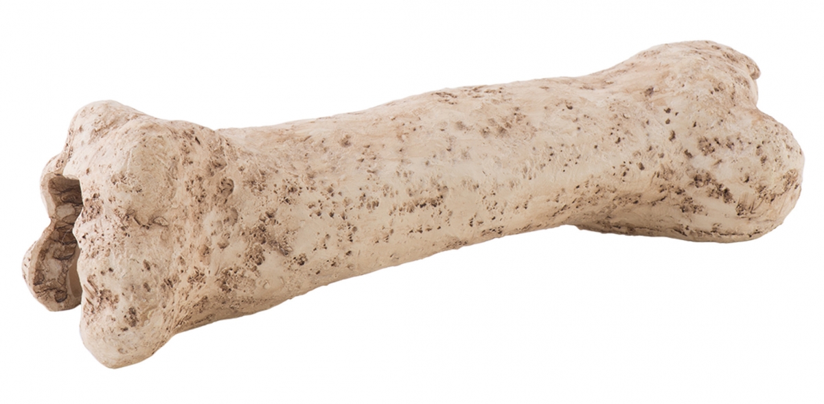 Zdjęcie Exo-Terra Dinosaur Bone kryjówka kość dinozaura  19 x 8 x 7 cm 
