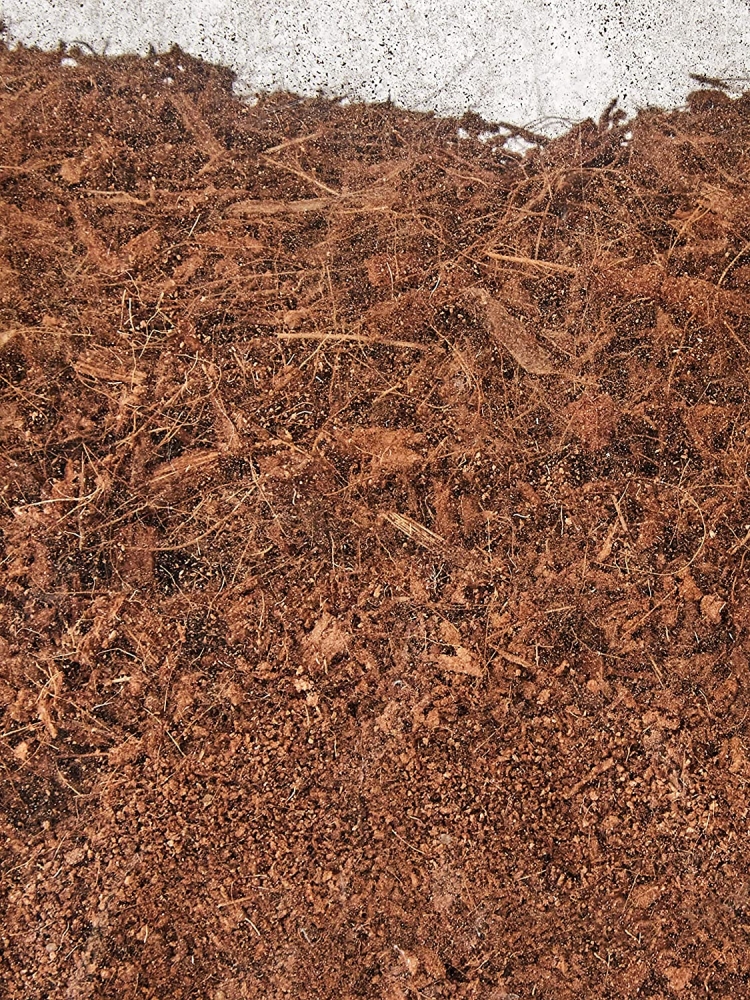 Zdjęcie Exo-Terra Podłoże dwuwarstwowe do terrarium  Equatorial Forest Floor 6,6l + 2,2l