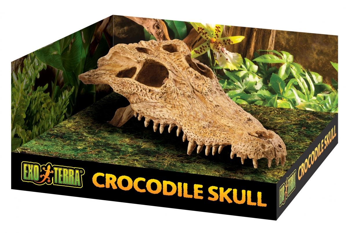 Zdjęcie Exo-Terra Crocodile Skull kryjówka czaszka krokodyla  23 x 12 x 7,5 cm 