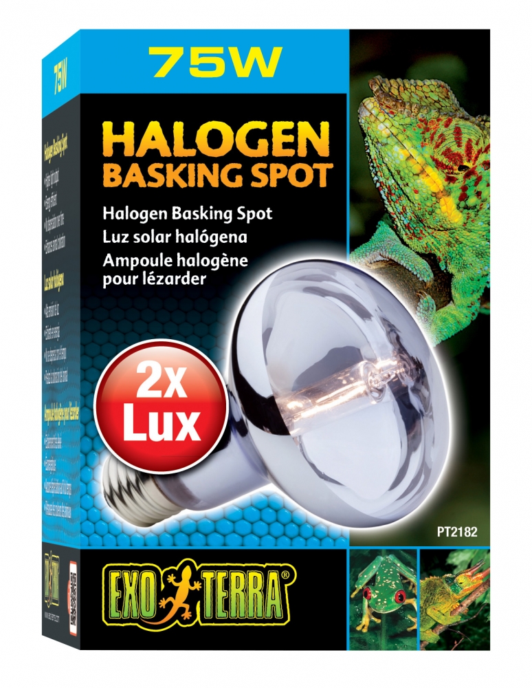 Zdjęcie Exo-Terra Halogen Basking Spot żarówka grzewcza halogenowa 75W 