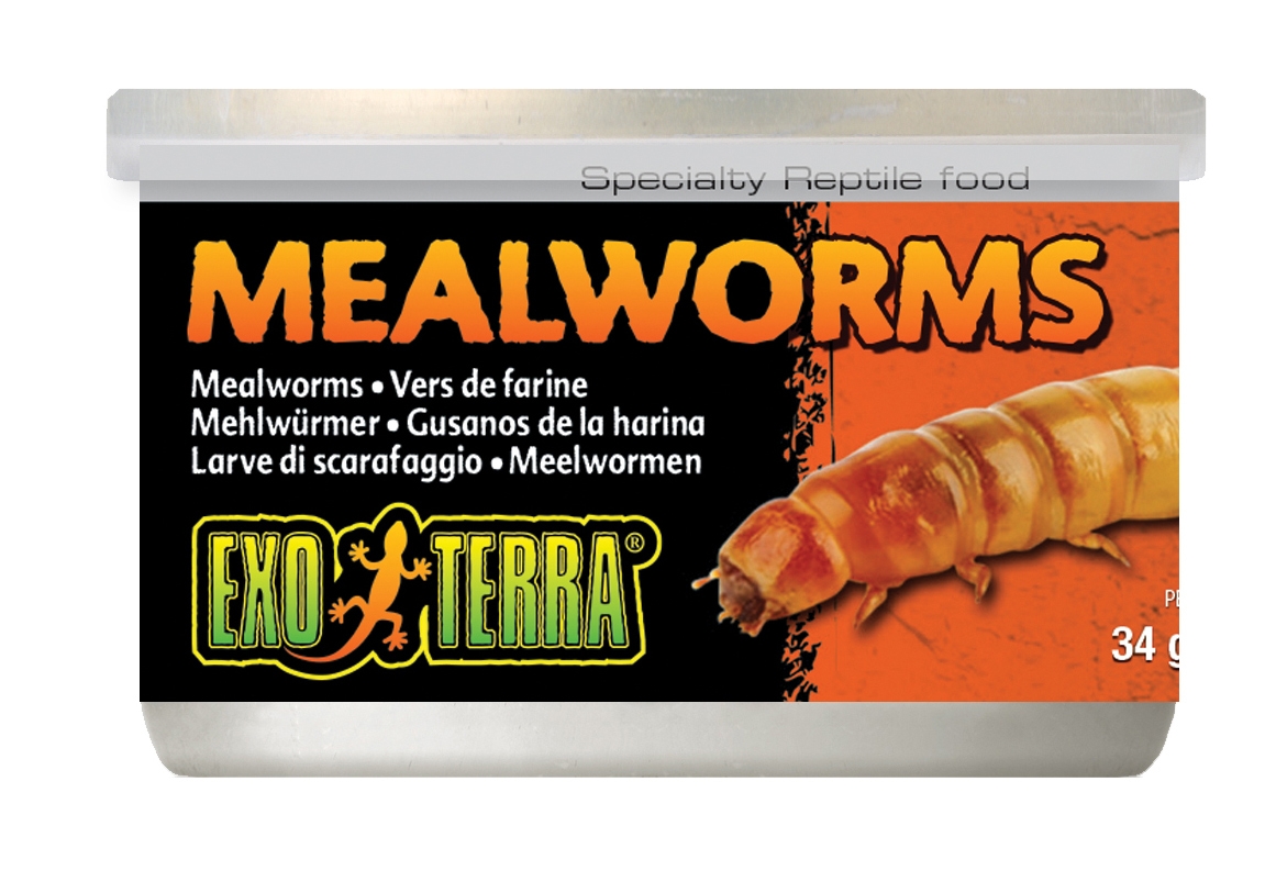 Zdjęcie Exo-Terra Mealworms mączniaki w puszce  w puszce 34g