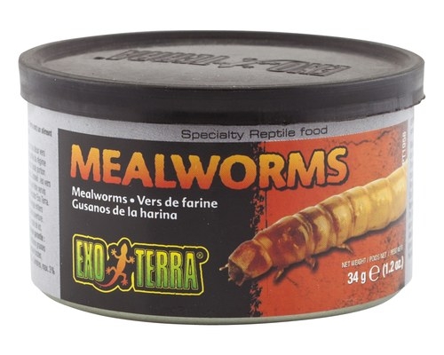 Zdjęcie Exo-Terra Mealworms mączniaki w puszce  w puszce 34g