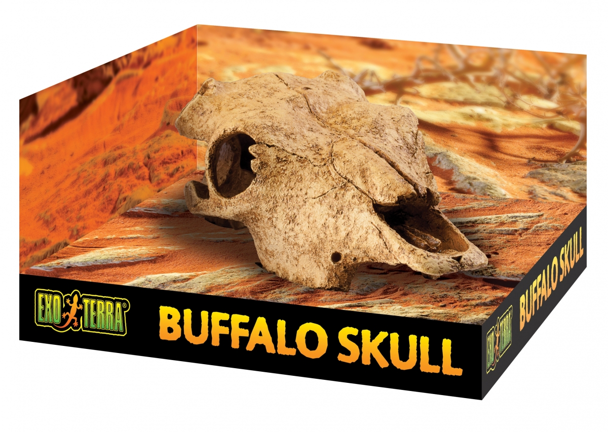 Zdjęcie Exo-Terra Buffalo Skull kryjówka czaszka bawoła  23 x 13 x 8,5 cm 