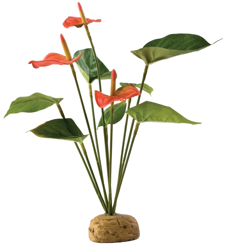 Zdjęcie Exo-Terra Roślina sztuczna Anthurium do terrariów 29 x 6,5 x 5 cm 