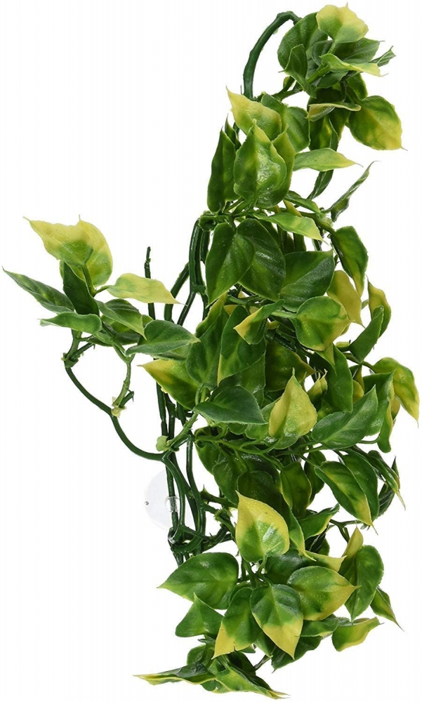 Zdjęcie Exo-Terra Roślina sztuczna Amapallo do terrariów rozm. S (32 cm) 