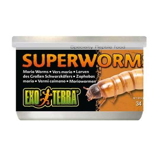 Zdjęcie Exo-Terra Superworm drewnojady  w puszce 34g