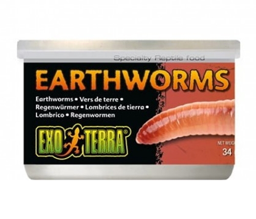 Zdjęcie Exo-Terra Earthworm dżdżownice  w puszce 34g