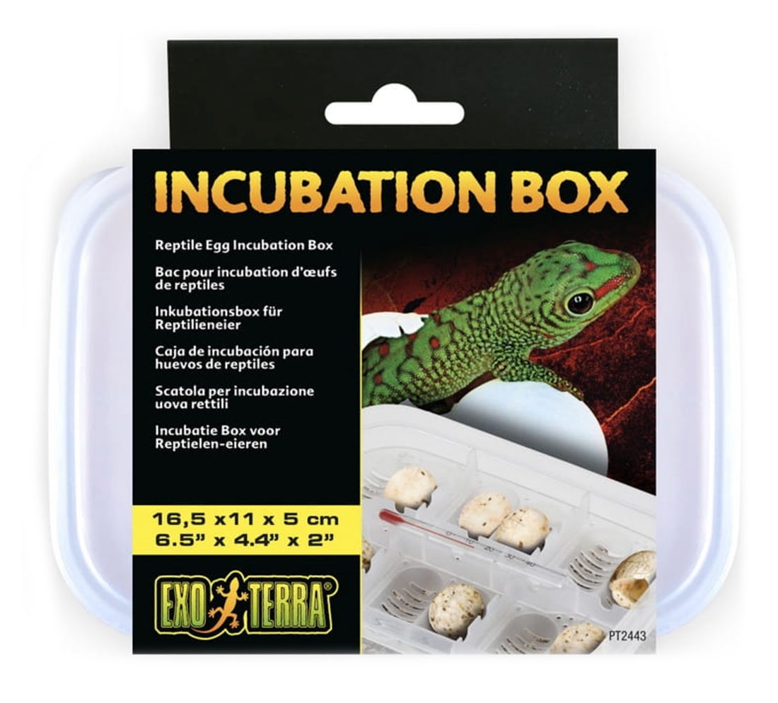Zdjęcie Exo-Terra Incubation Box  pojemnik do inkubacji jaj  Medium: 30,2 x 19,6 x 14,7 cm 