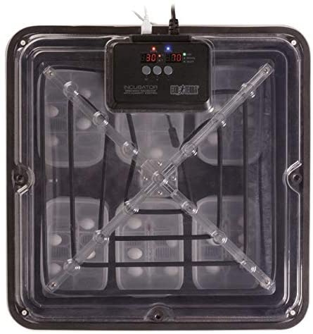 Zdjęcie Exo-Terra Incubator Pro inkubator z kontrolą wilgotnośc   44,5 x 44,5 x 24