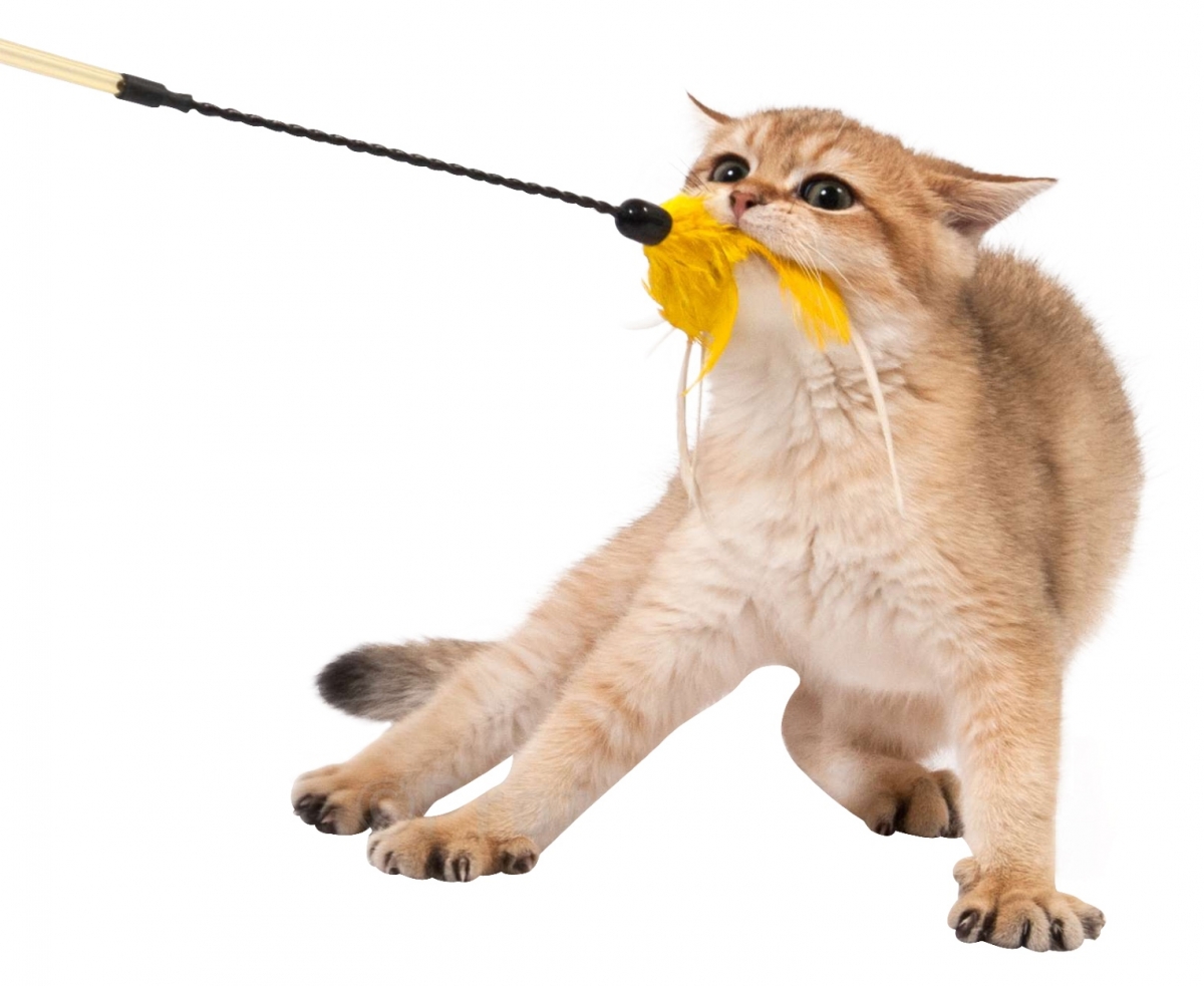 Zdjęcie Vee-Toys PURRfect Crinkle Bouncer Cat Toy wędka premium dla kota   45 + 15 cm